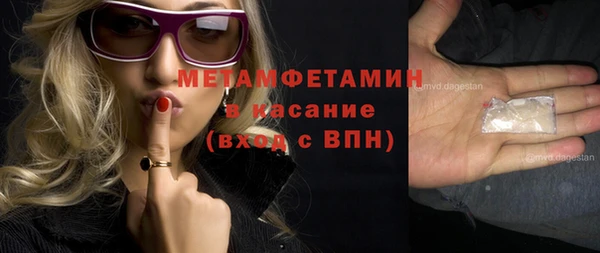 мяу мяу мука Михайловск