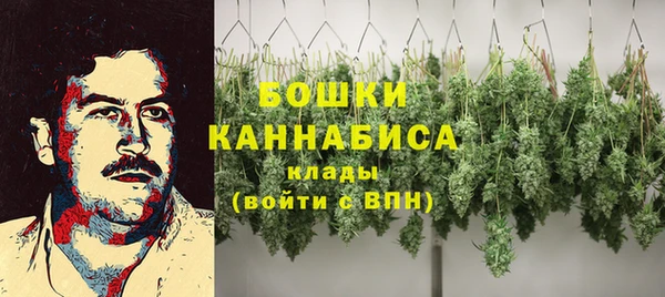 мяу мяу мука Михайловск