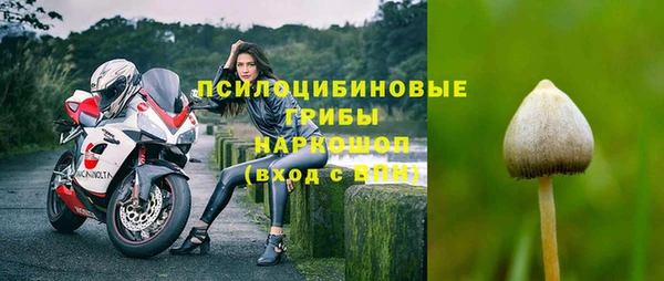 мяу мяу мука Михайловск